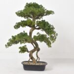 Faux Cypress Tree 35″ – Indoor Decorative Plant