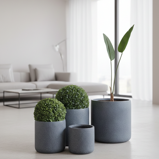 Set of potted plants in a modern living room