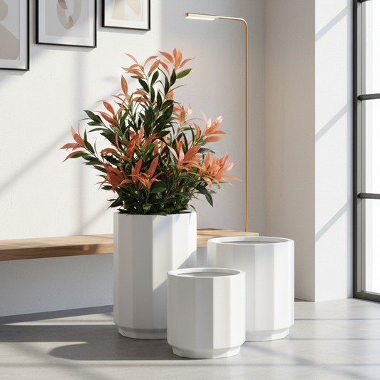Modern interior with white planters and a potted plant on a light wooden bench.
