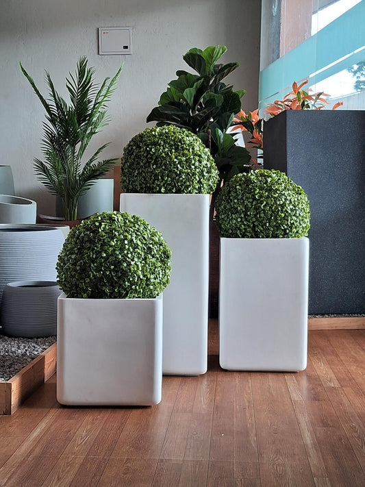 PARAMA Matte White Square Planters – Premium FRP Pots