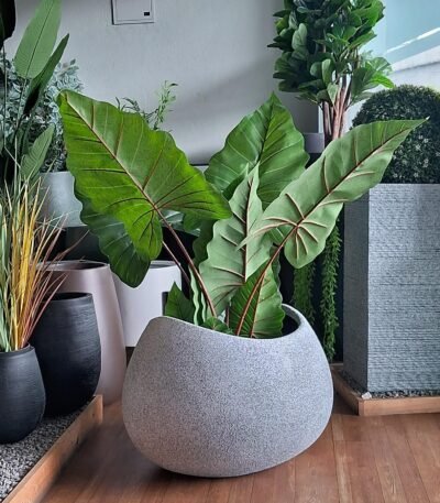 BHOOMI Round Planter with Wide Opening – Premium FRP