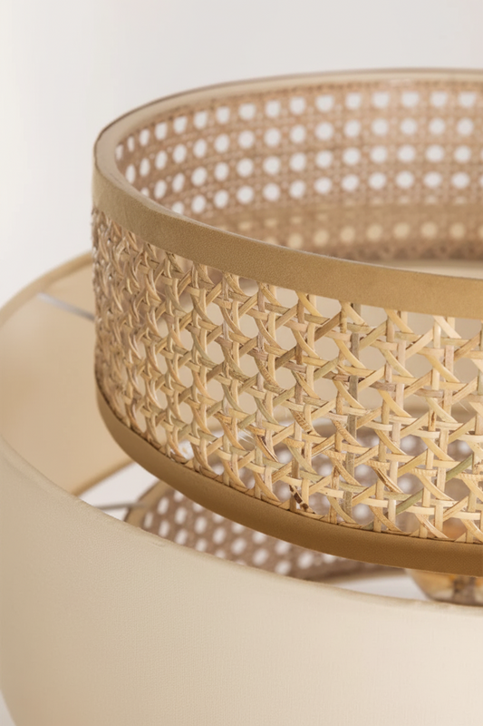 Aericka Handcrafted Rattan Floor Lamp
