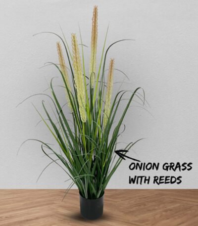 Artificial Onion Grass Plant with Reeds – 35.43″
