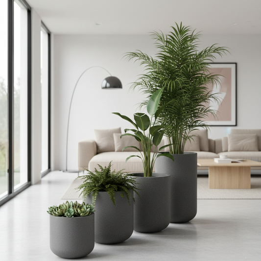 Modern living room with potted plants and a sofa.