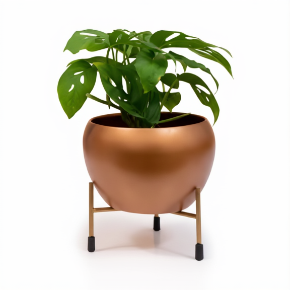 Green potted plant in a copper-colored pot on a white background