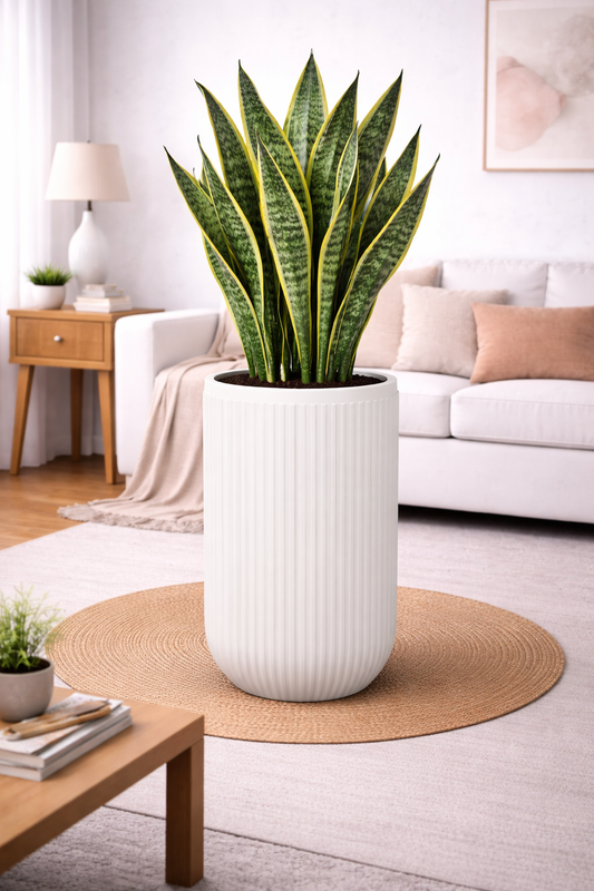 Orchid- Fiberglass Planter
