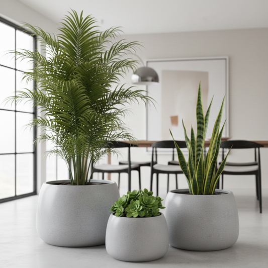 Three potted plants in a modern indoor setting with a neutral color palette.