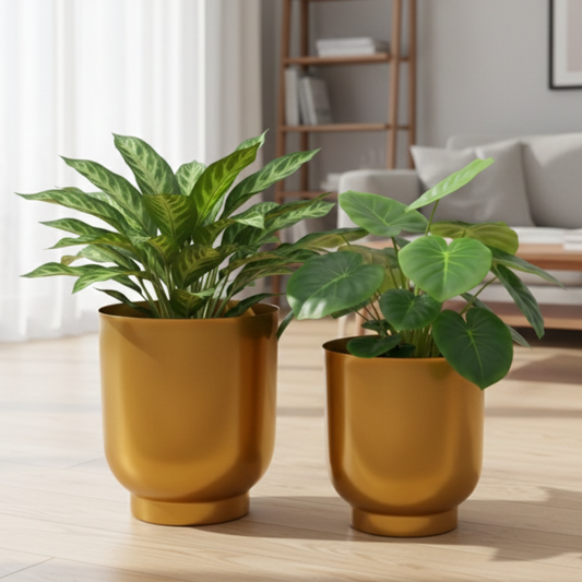 Two potted plants in mustard yellow pots on a wooden floor with a blurred living room background.