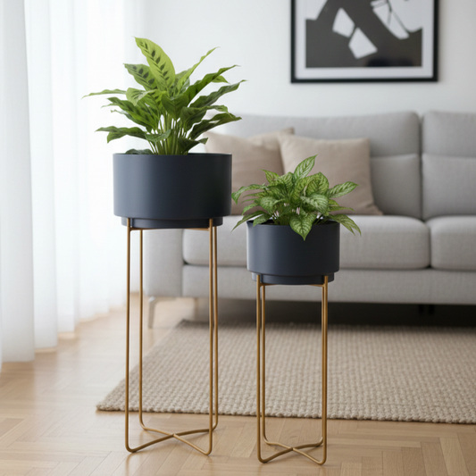Two potted plants on stands in a living room setting with a sofa and framed picture in the background.