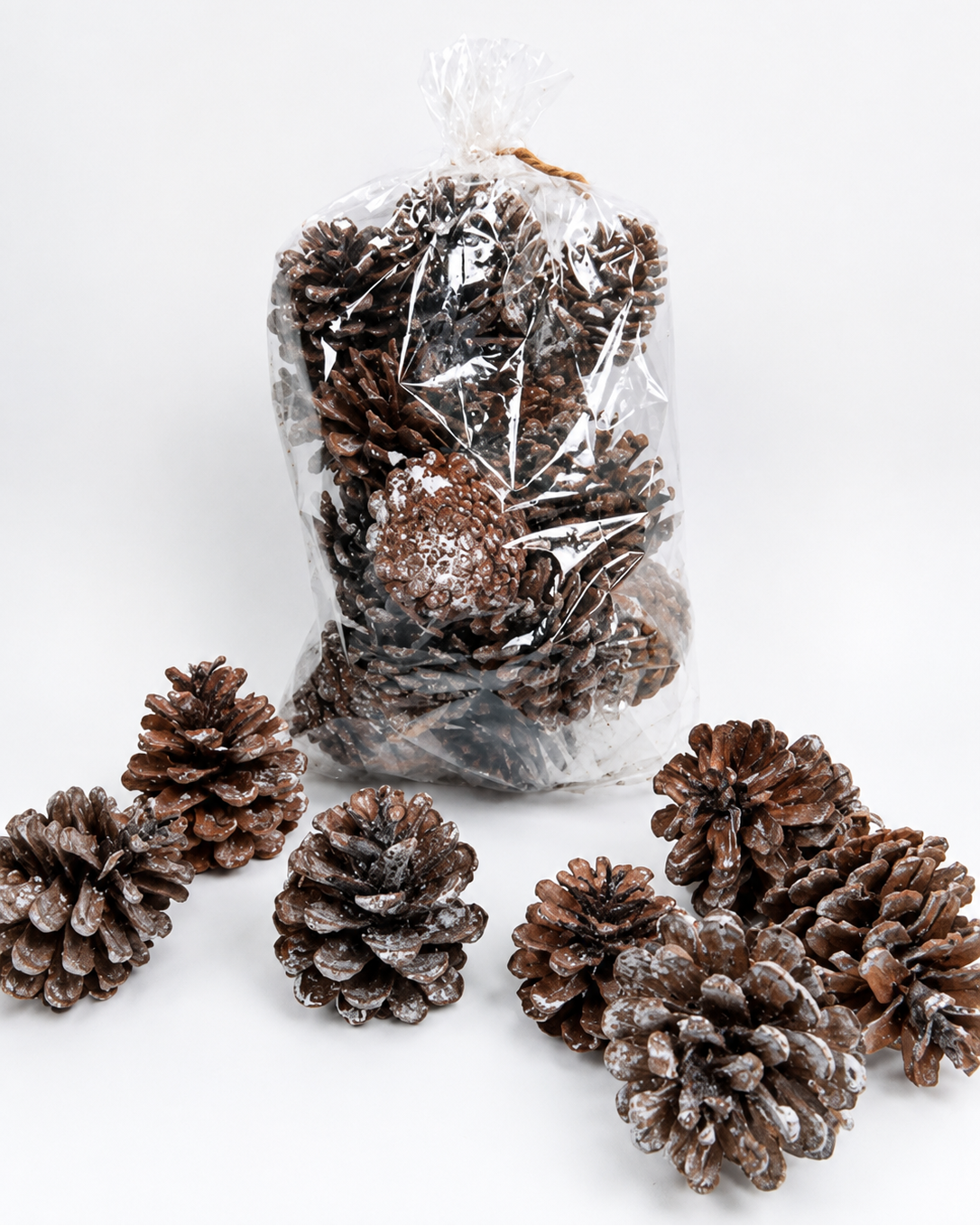 Natural Frosted Pine Cones