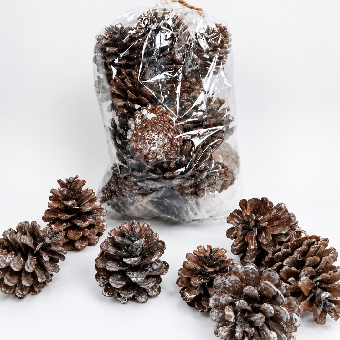 Natural Frosted Pine Cones