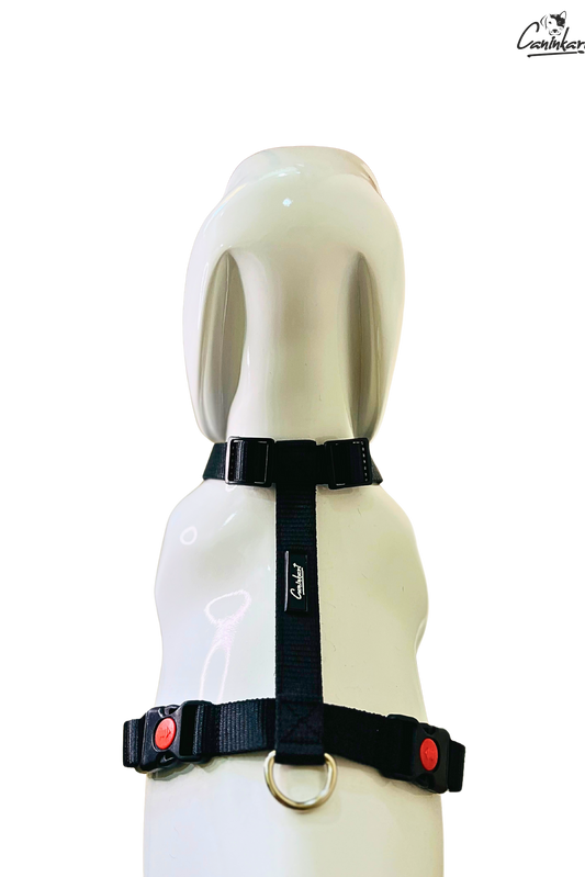 Premium Adjustable H-Harness for Dogs