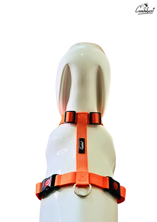 Premium Adjustable H-Harness for Dogs Orange