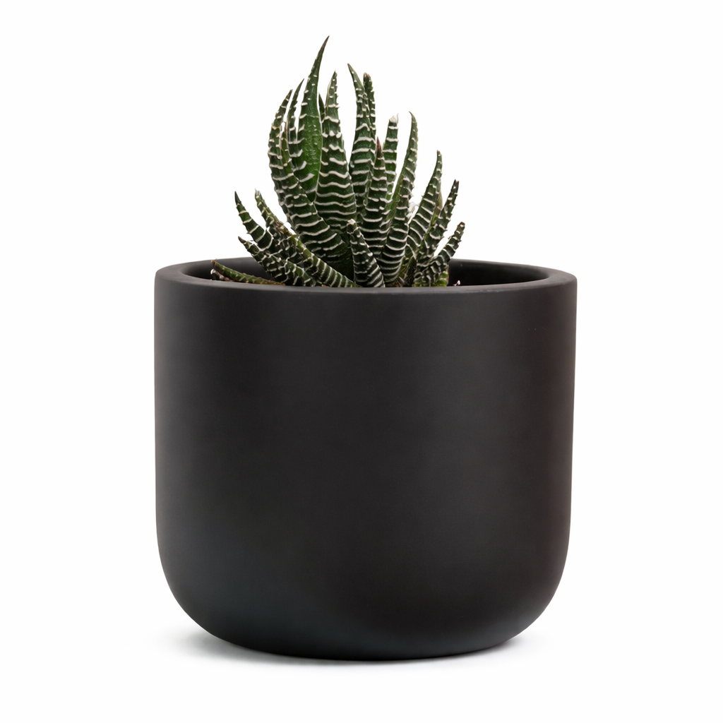 Matt Black Terracotta Planter