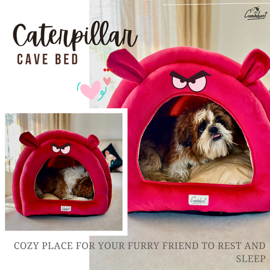 Premium Caterpillar-Shaped Pet Hut