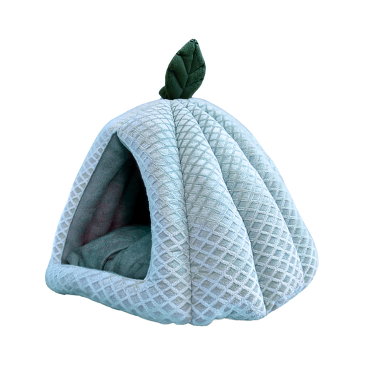 Premium Pumpkin-Shaped Pet Hut