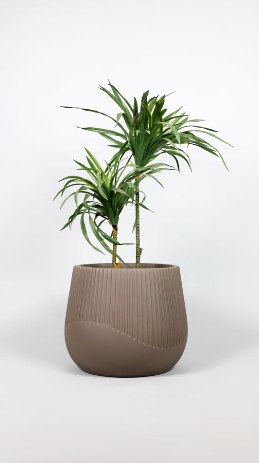 Juniper Fiberglass Planter