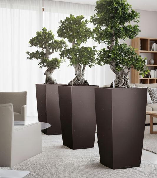 Three large brown planters with green trees in a modern living room setting.