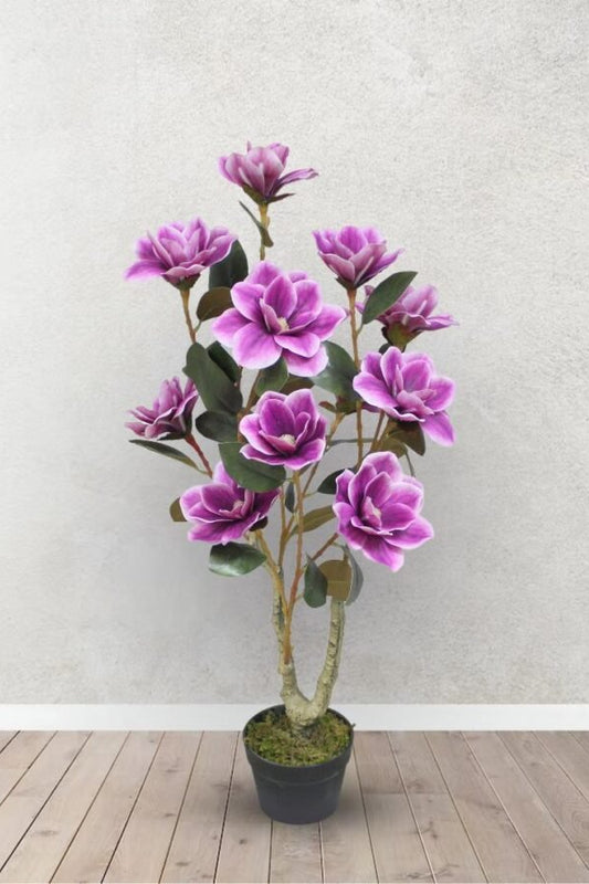 Potted plant with purple flowers on a wooden floor and light gray wall background