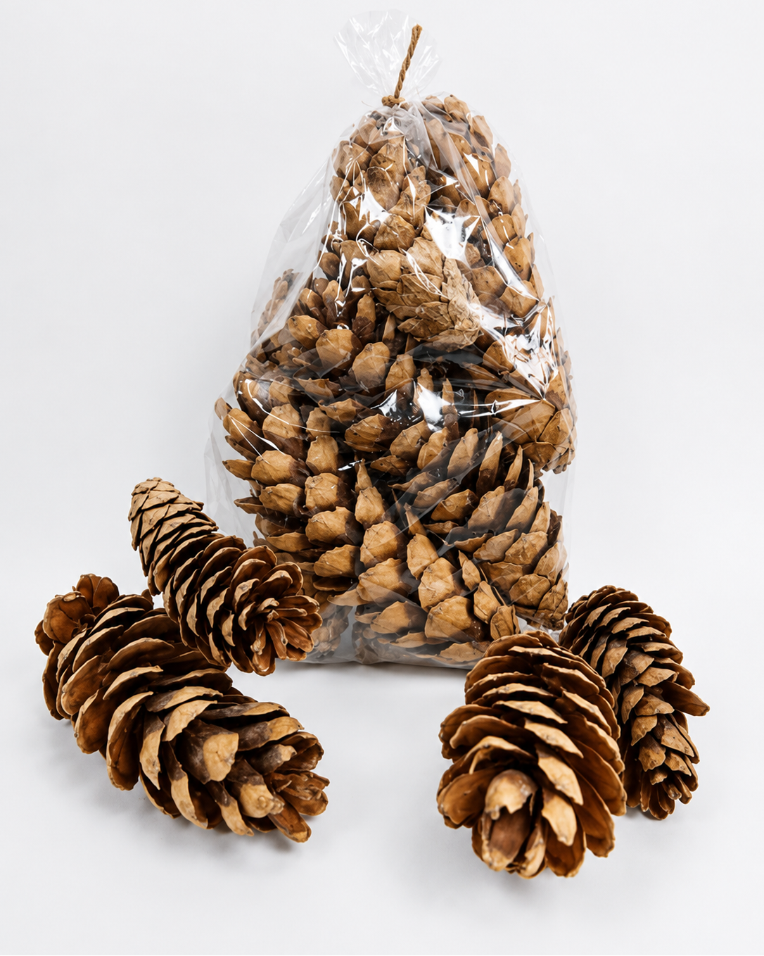 Premium Natural Dried Pine Cones