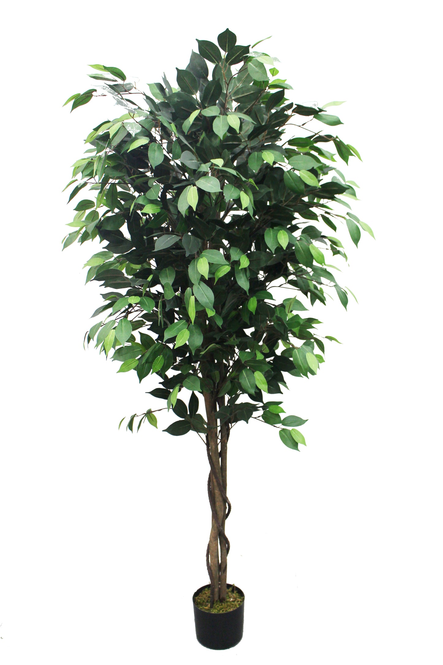 Ficus Artificial Plant – Premium Lifelike Faux Tree for Stylish Home And Office Decor 71