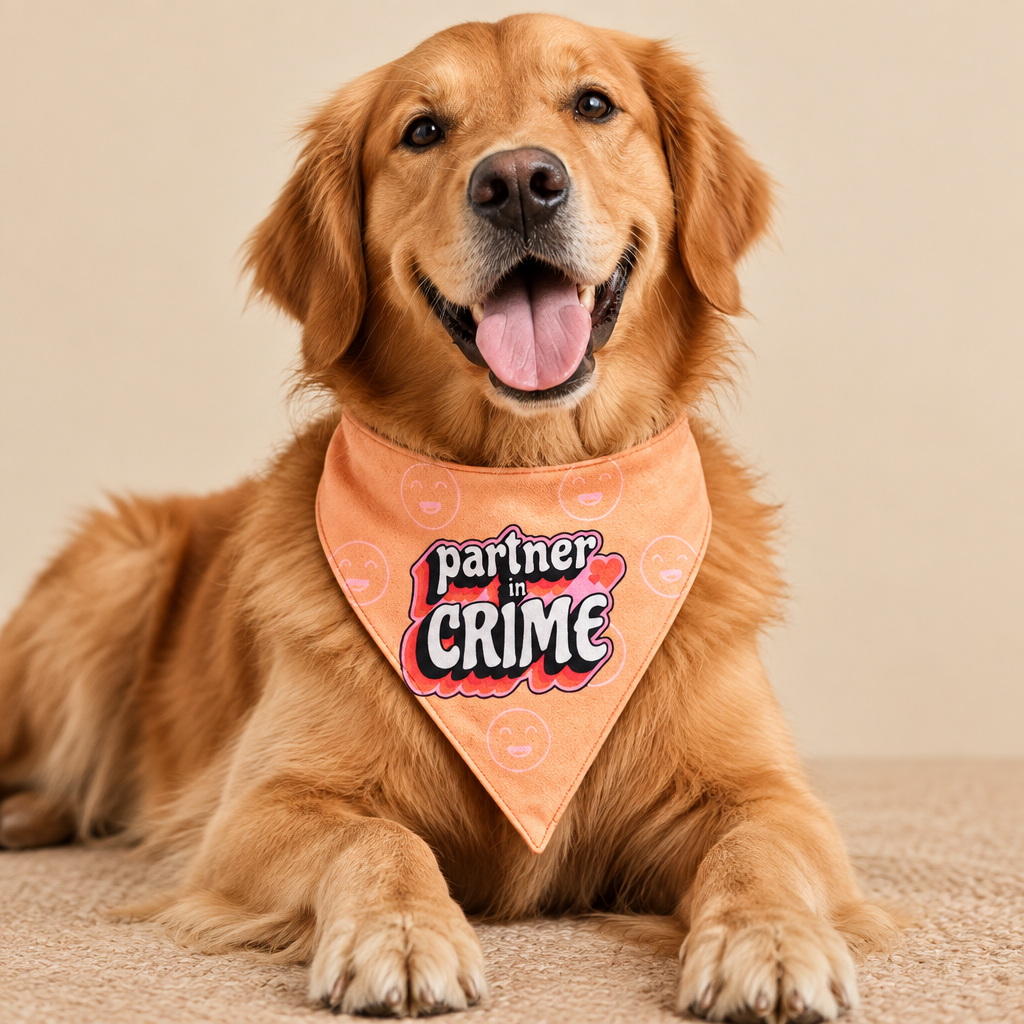 Pet Dog Bandana Partner in Crime