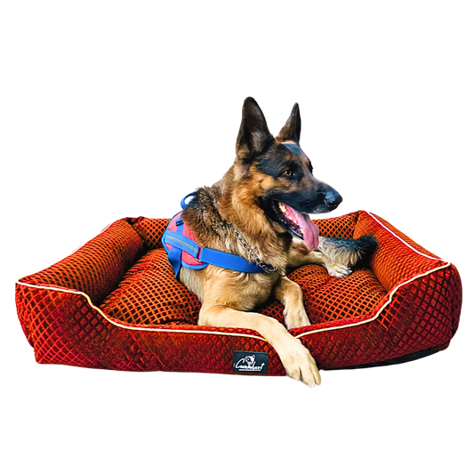 Premium Pattern Lounger Pet Bed