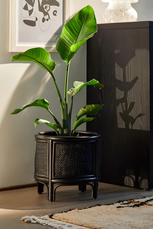 Adah Handcrafted Rattan Planter with Integrated Stand