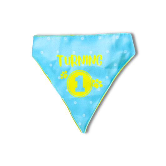 Pet Dog Bandana Turning 1