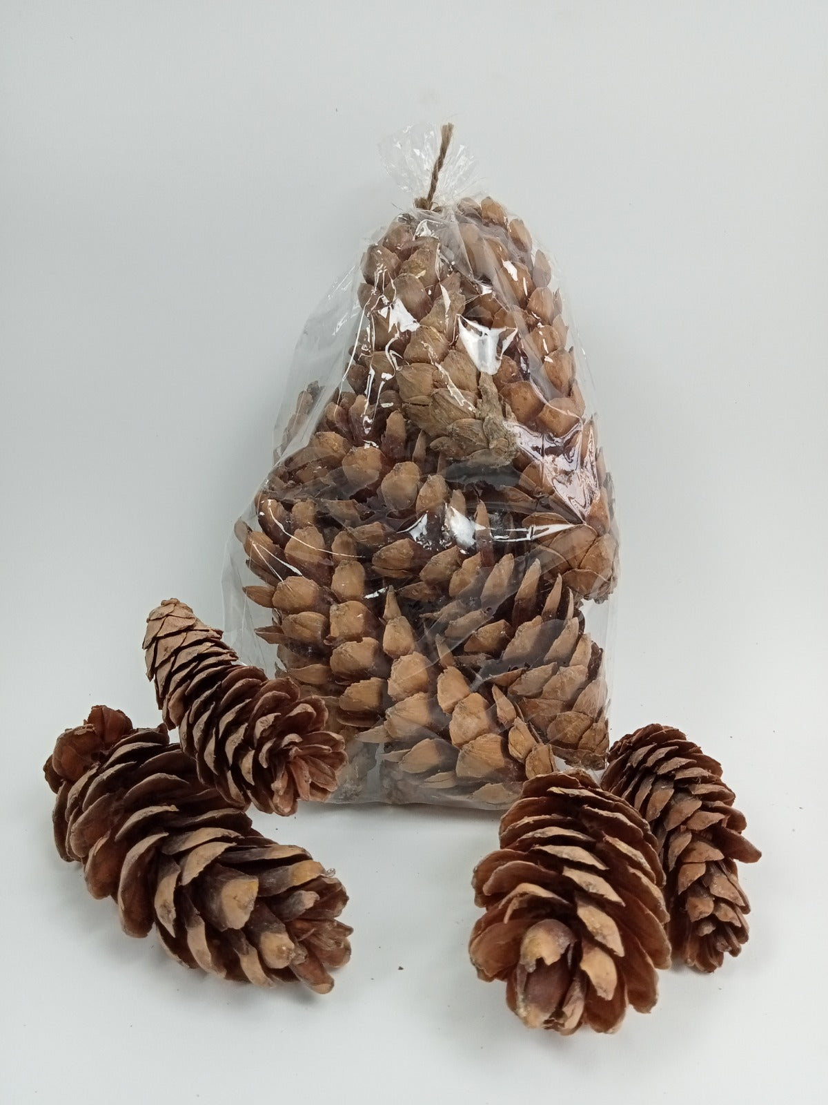 Premium Natural Dried Pine Cones