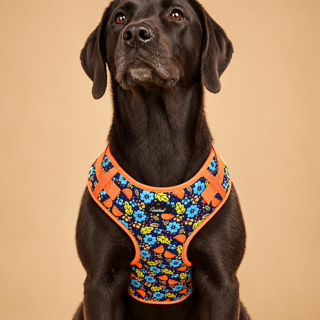 Chest Harness Blue Flower