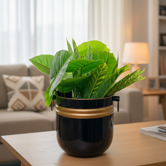Green potted plant in a black and gold pot on a wooden table in a living room.
