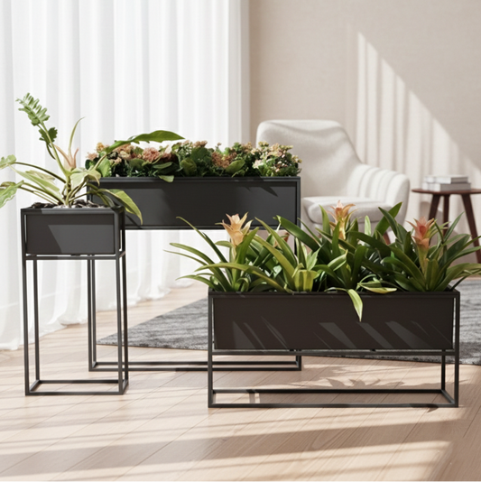 Modern indoor setting with black metal planters holding plants on a wooden floor.