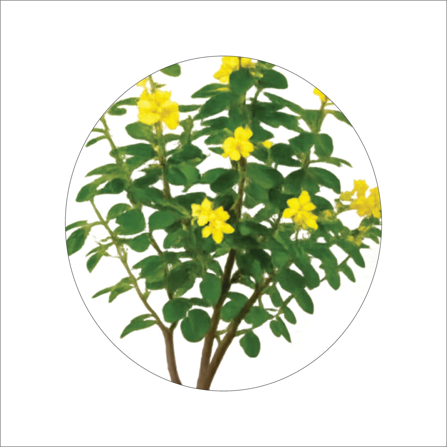 Premium Artificial Yellow Flowering Tree 59"