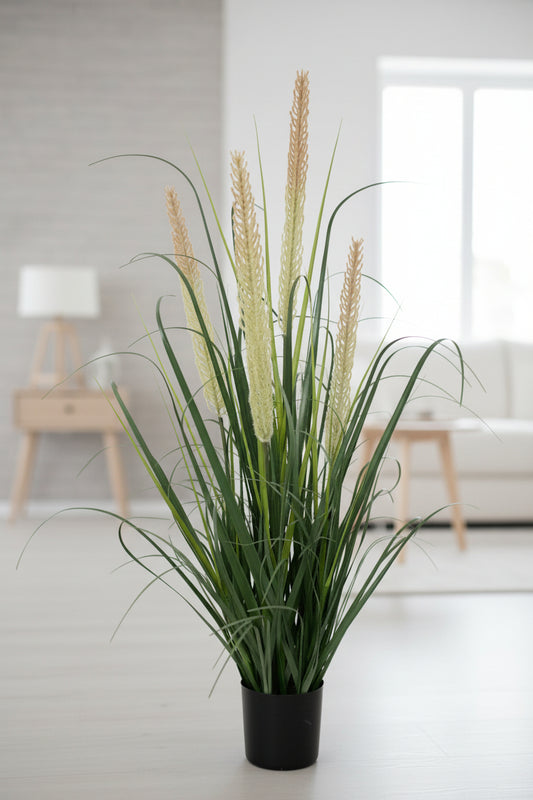 Potted plant with long green and brown leaves on a white background