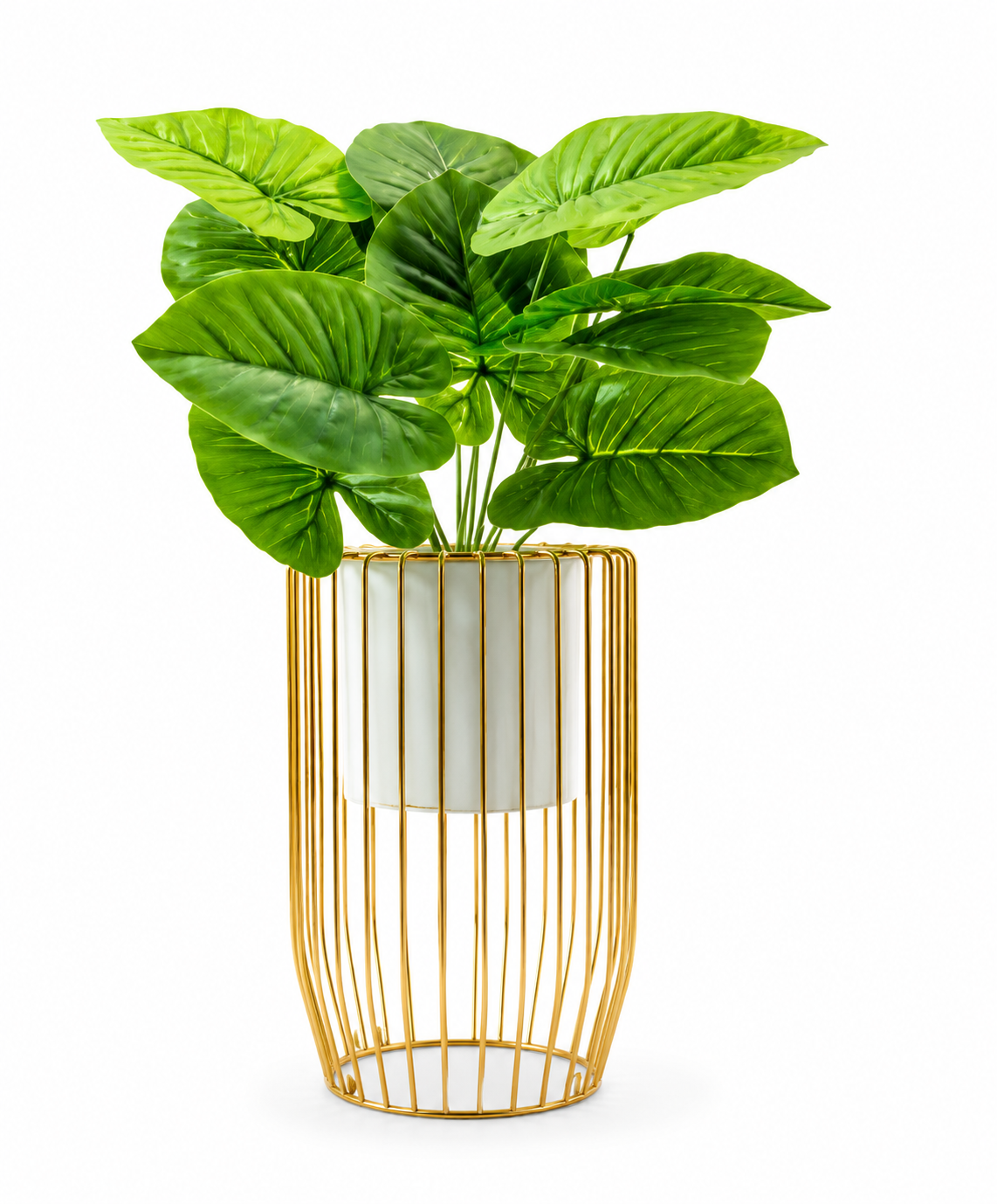 Elegant cylindrical wire-framed metal plante
