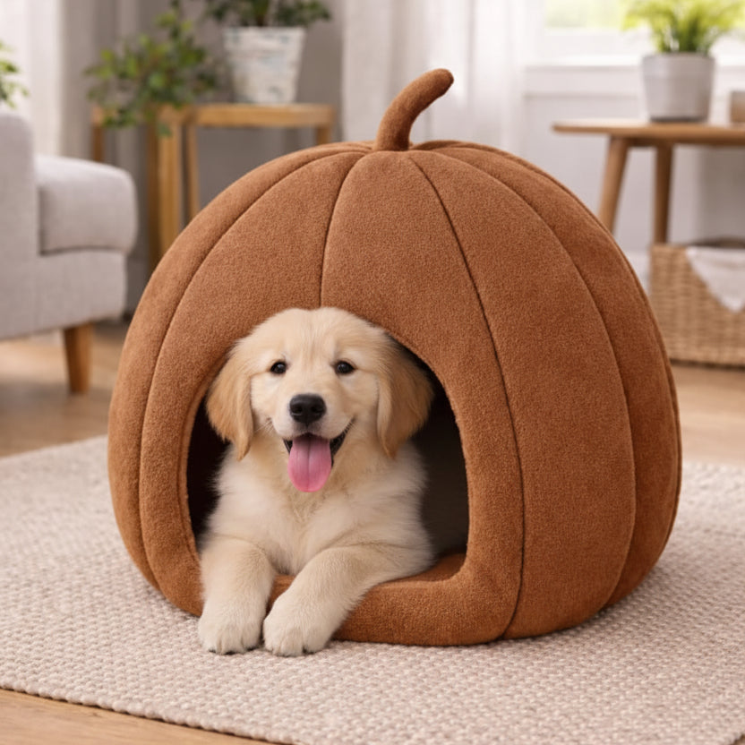 Premium Pumpkin Pet Cave