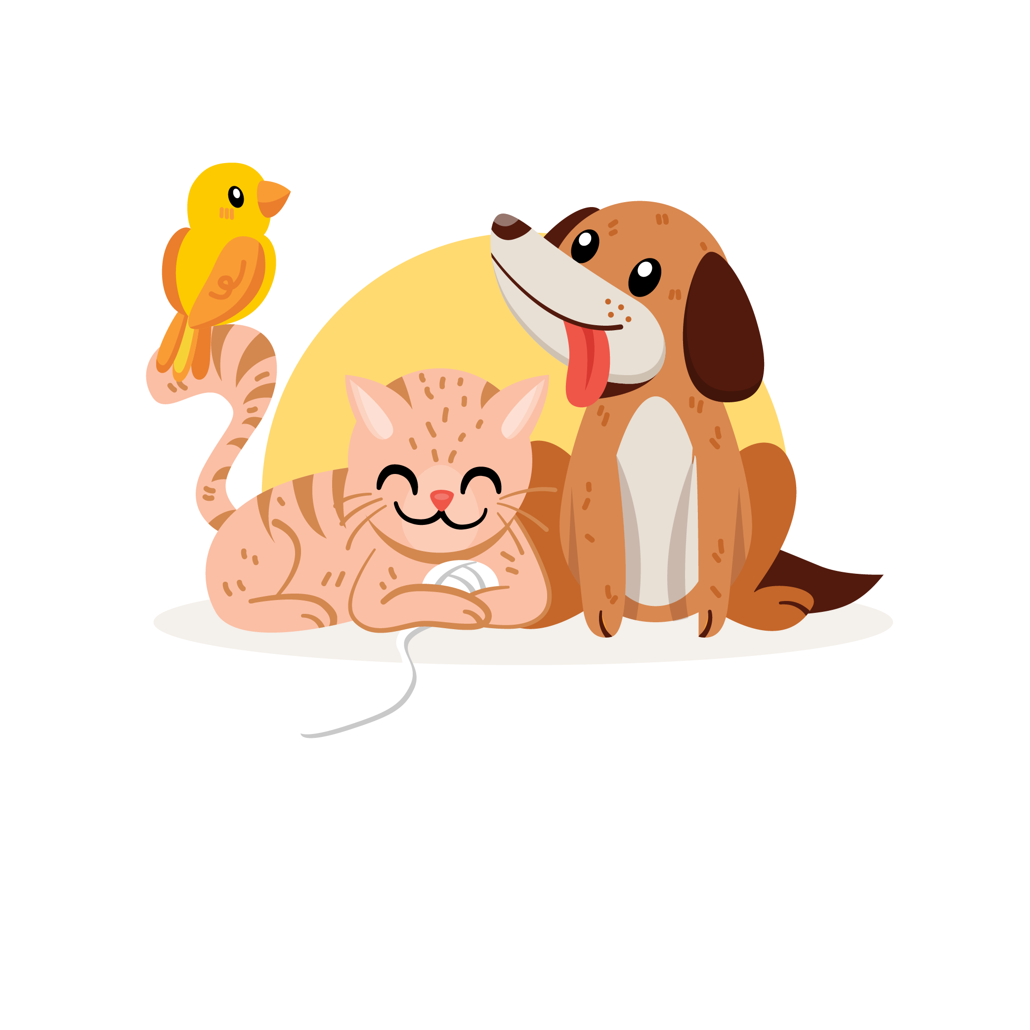 Pet