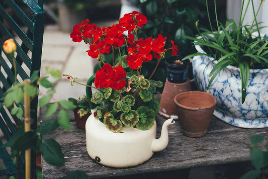 Why Faux Plants Are Ideal for Indoor Gardening