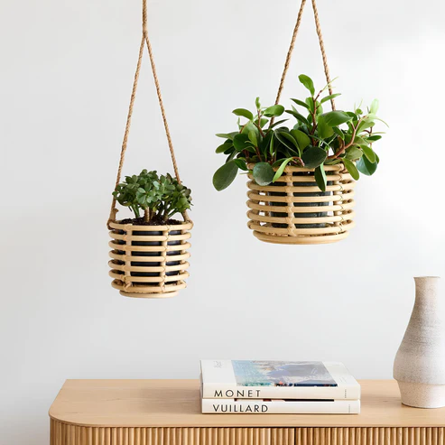 Rattan & Bamboo Planters