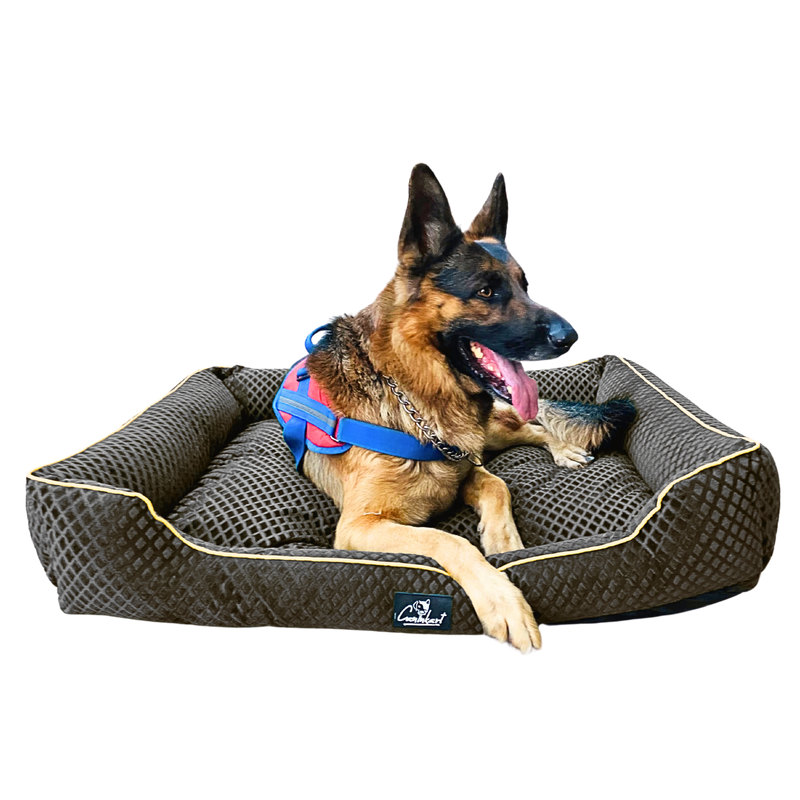 Pet Bed