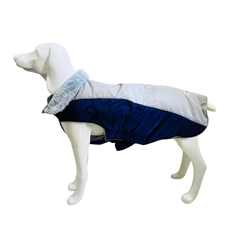 Pets Jacket