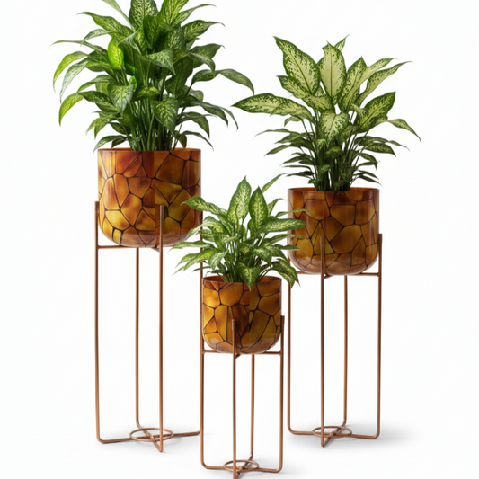 Patterned Round Plant Pots on Metal Stands (Set of 3)