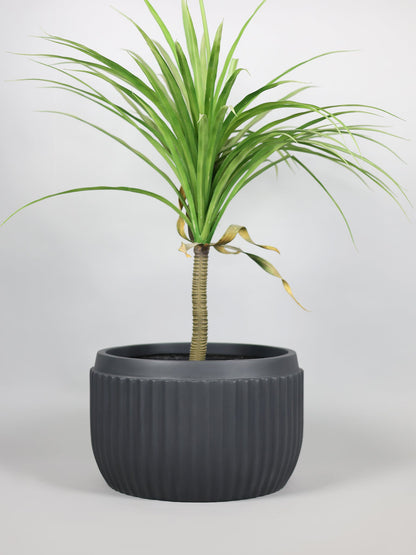 Orchid-D Grey Fiberglass Planter