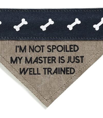 Slip on Bandana: Medium/Large (Fido)