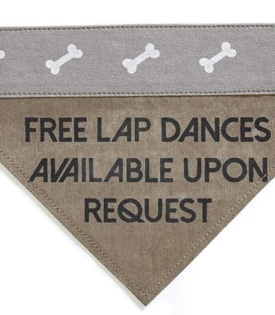 Slip on Bandana: Medium/Large (Lap Dog)
