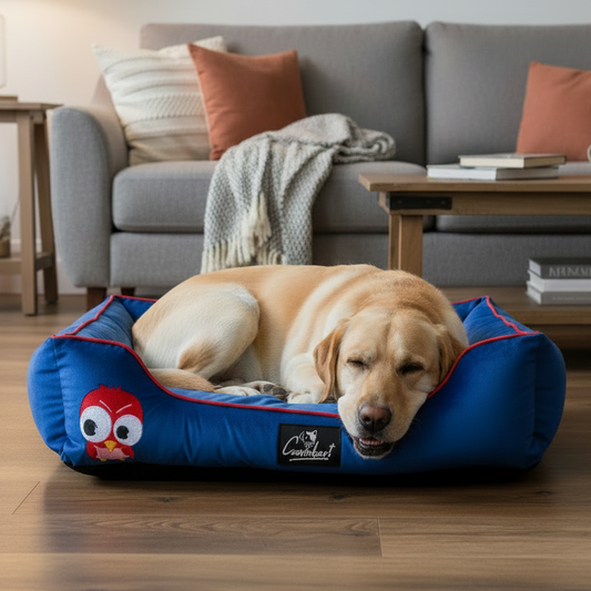 Premium Embroidered Dog Lounger
