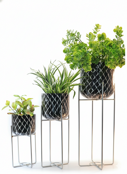 Patterned Round Plant Pots on Metal Stands Set of 3