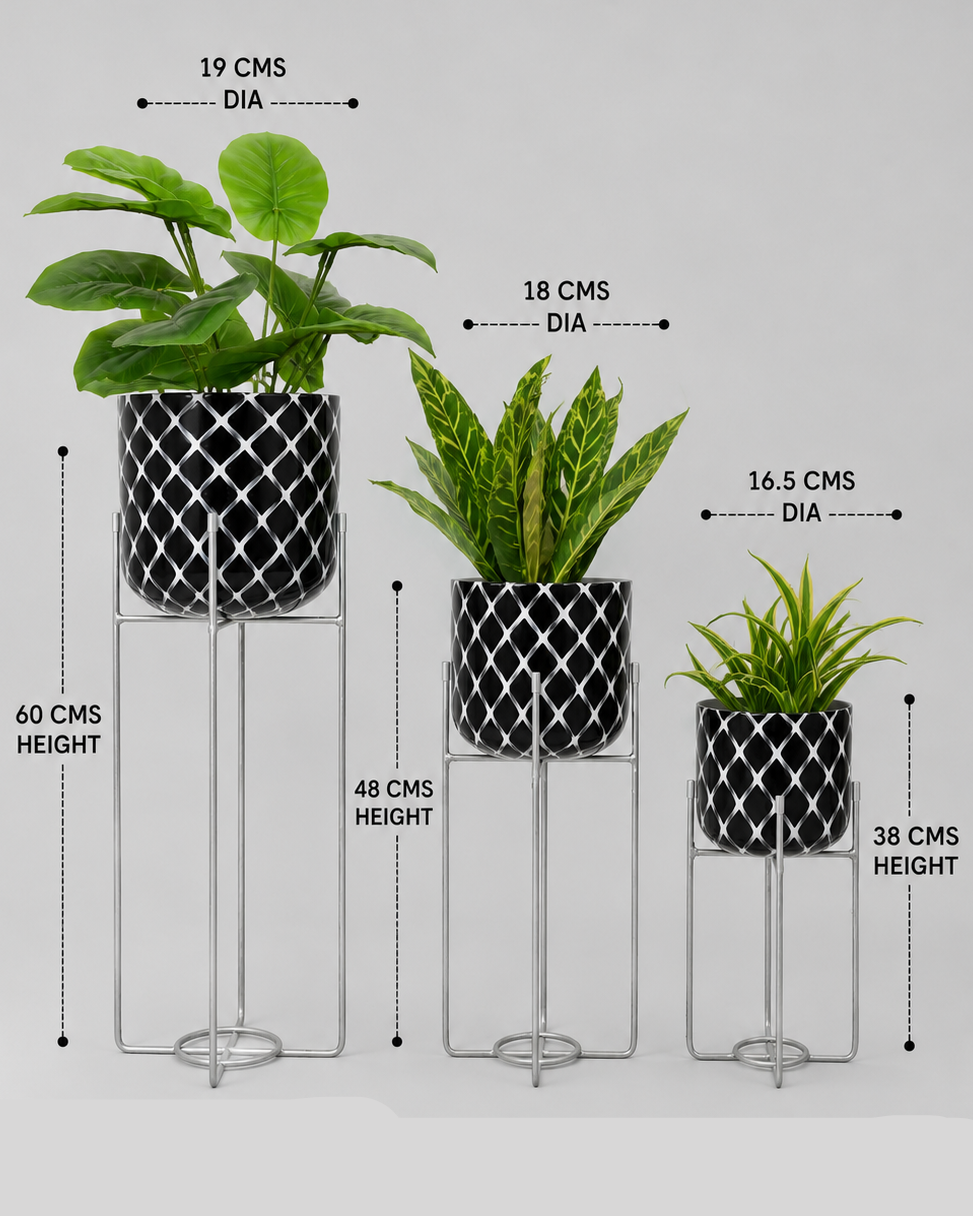 Patterned Round Plant Pots on Metal Stands Set of 3