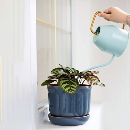 Sleek Metal Watering Can